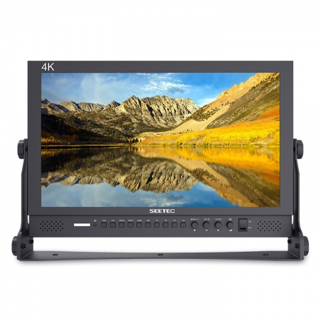 Seetec P173-9HSD 17.3